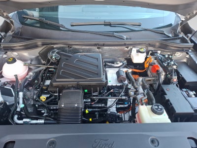 2026 Ford TERRITORY TITANIUM HEV
